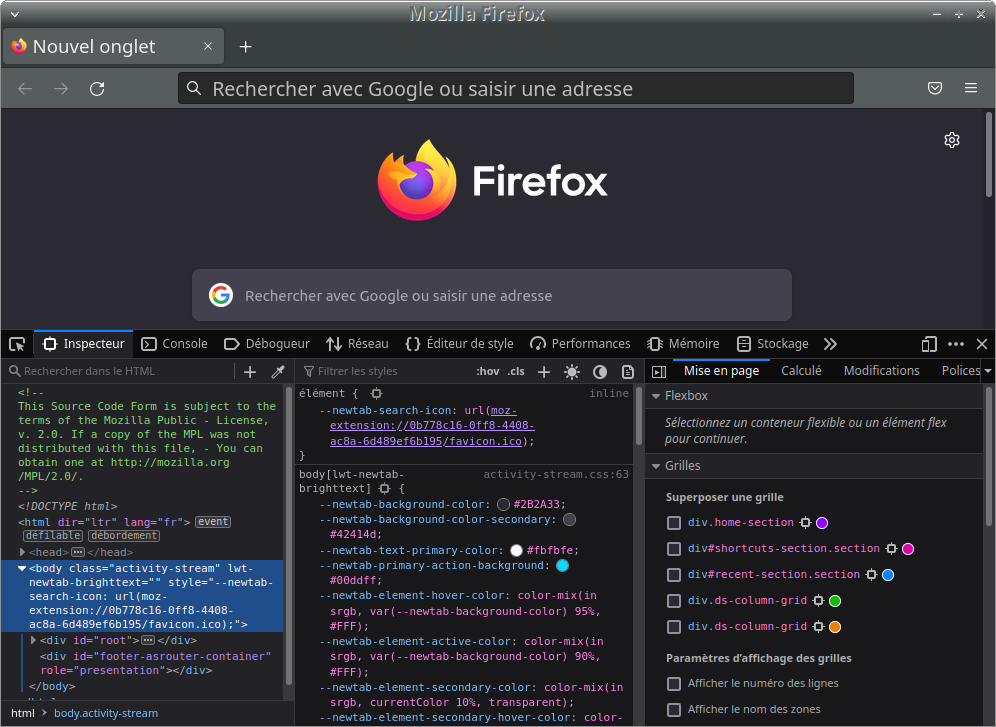 Fenêtre du navigateur Firefox avec la barre de développement active