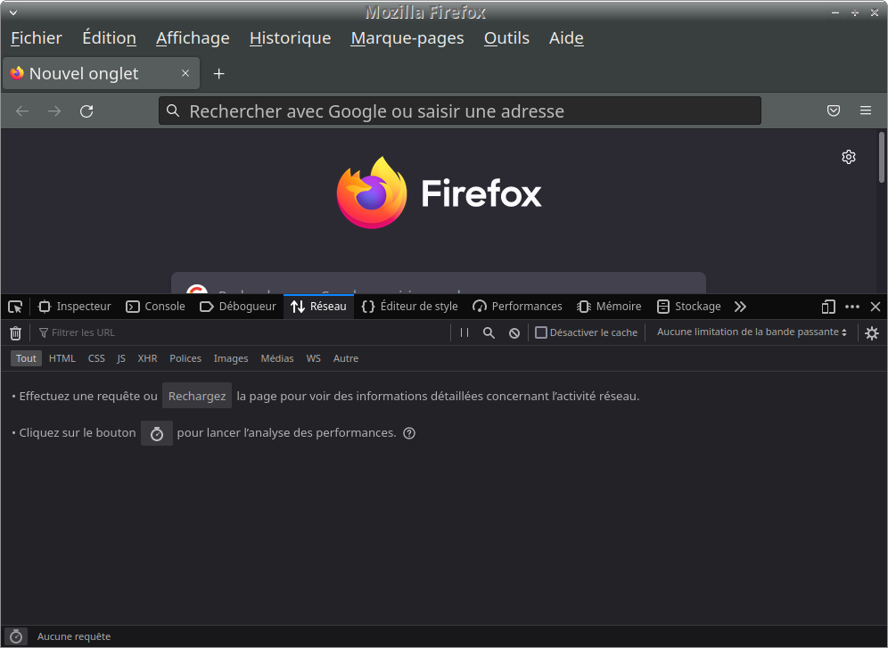 Fenêtre du navigateur Firefox avec la barre de développement active pour la partie réseau