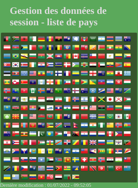 Capture d'écran de la page Web contenant l'ensemble des drapeaux des pays